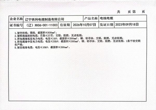 全國(guó)工業(yè)生產(chǎn)許可證  2.jpg